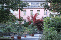 Hotel Villa Vinum in Cochem an der Mosel